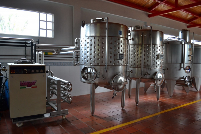 cave-CIPIERES-min_wine_production_cantine_winery_drink_alcohol_vine_beverage-902036